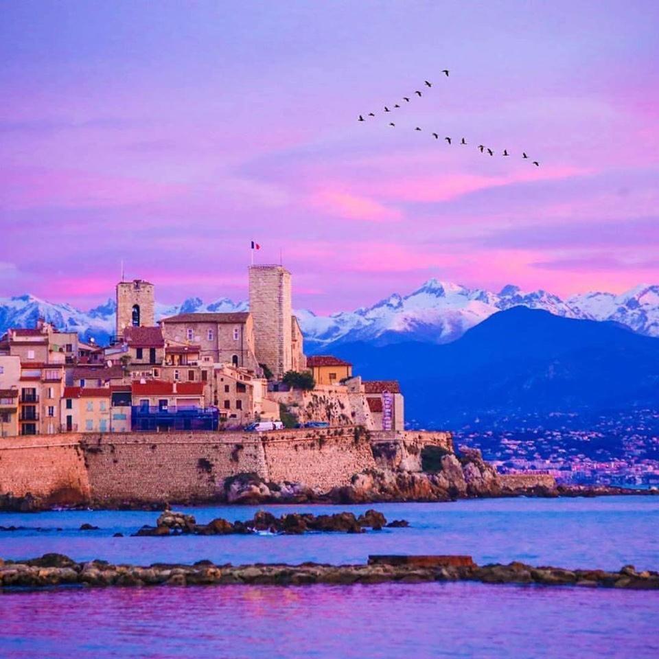 Appartements Climatises - Vieil Antibes Eksteriør billede